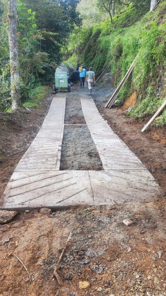 52ed7383-6c80-4911-8163-6fea6d2d6aef