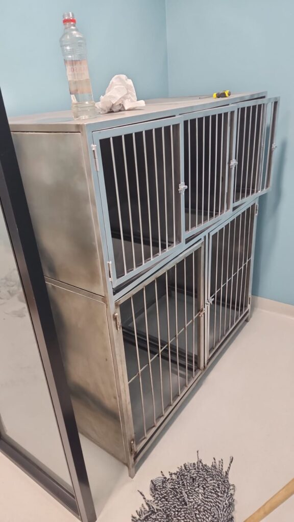 5b6aa632-fd8b-4555-84b7-a154c666e880