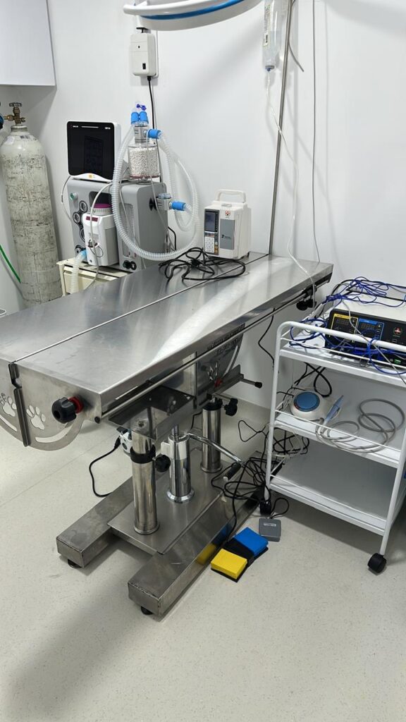 5cf44794-de08-4f01-9f34-266f4181bbef