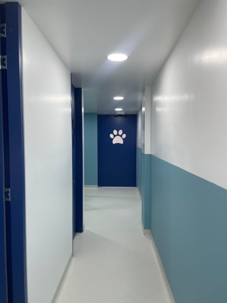 91aae052-75dd-4739-a4ba-5f924d5d123e