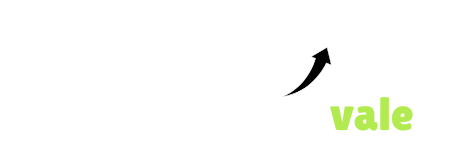 MiNeogocioVale